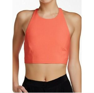 Elizabeth and James Hupton Halter